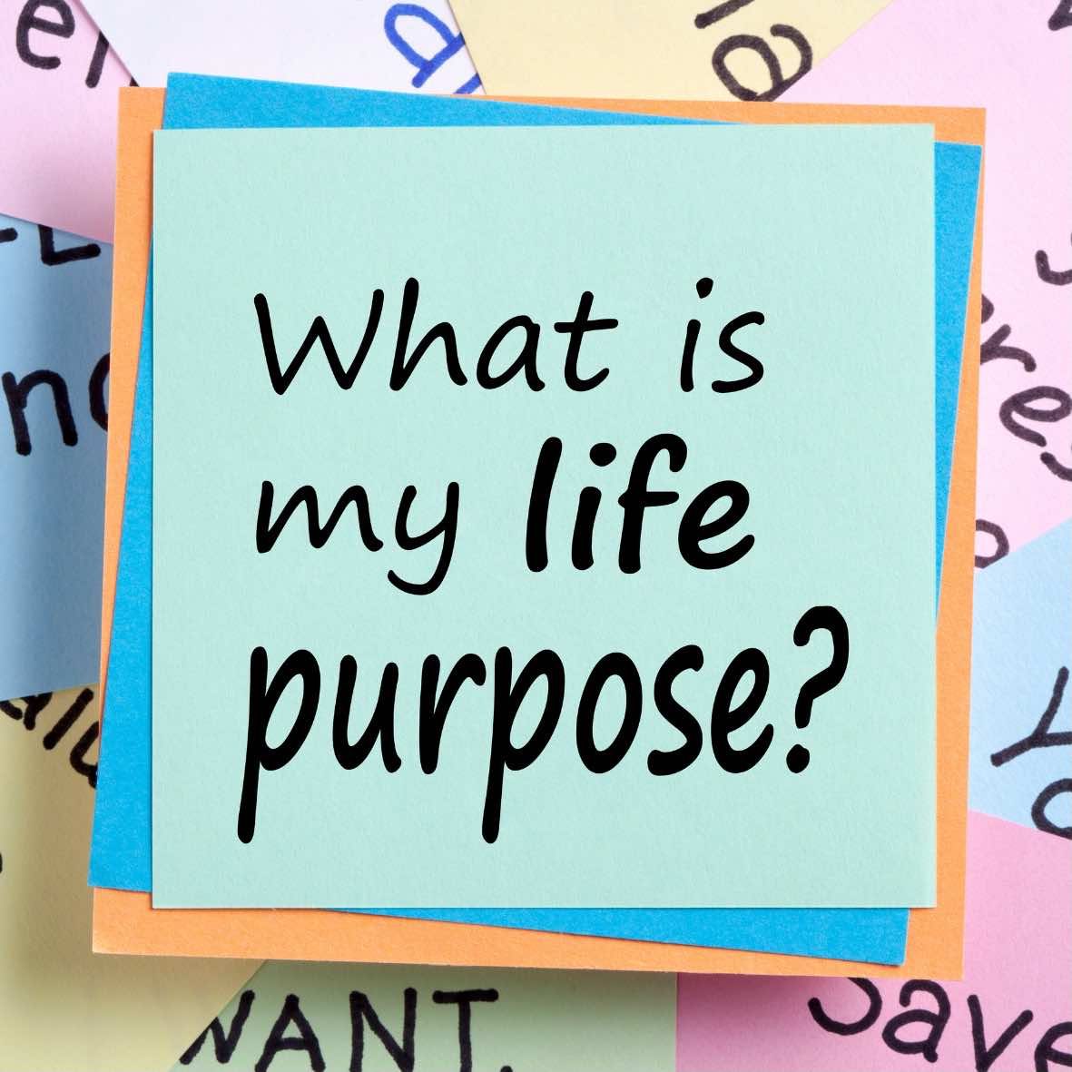 Purpose Is Everything