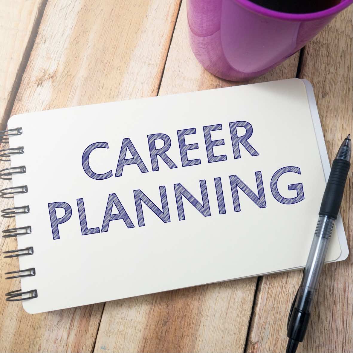 Seek's Free Career Planning Template